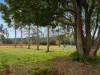 17A Pepperell Drive, Drouin, Vic 3818-Image