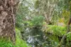 17a Simmons Crescent, Flinders Park, SA 5025-Image