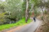 17a Simmons Crescent, Flinders Park, SA 5025-Image
