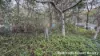 18 Belar Street, Lamb Island, Qld 4184-Image