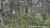 18 Belar Street, Lamb Island, Qld 4184-Image