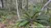 18 Belar Street, Lamb Island, Qld 4184-Image