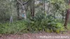 18 Belar Street, Lamb Island, Qld 4184-Image