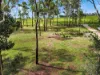 18 Bulankoff Road, Tolga, Qld 4882-Image