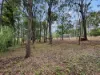 18 Bulankoff Road, Tolga, Qld 4882-Image