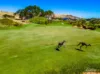 18 Cherry Hills Crescent, Normanville, SA 5204-Image