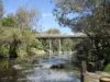 18 George Beacham Way, Pinjarra, WA 6208-Image