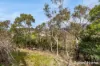 18 Kiewa Rise, Lenah Valley, Tas 7008-Image