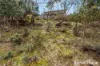 18 Kiewa Rise, Lenah Valley, Tas 7008-Image