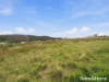 18 Mace Court, Orford, Tas 7190-Image