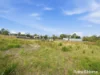 18 Mace Court, Orford, Tas 7190-Image