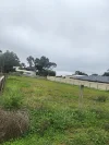 18 Martha Street, Caloote, SA 5254-Image