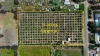 18 McCord Road, Two Wells, SA 5501-Image