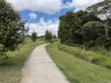 18 Morgan Close, Yungaburra, Qld 4884-Image