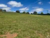 18 Redberry Close, Yungaburra, Qld 4884-Image
