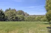 18 Regans Lane, Glenlyon, Vic 3461-Image