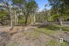 18 Scott Road, Halls Gap, Vic 3381