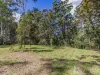 1806 Gold Coast Springbrook Road, Springbrook, Qld 4213-Image