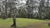 1806 Gold Coast Springbrook Road, Springbrook, Qld 4213-Image