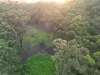 1806 Gold Coast Springbrook Road, Springbrook, Qld 4213-Image