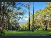 1806 Gold Coast Springbrook Road, Springbrook, Qld 4213-Image