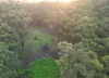 1806 Gold Coast Springbrook Road, Springbrook, Qld 4213-Image