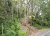 1806 Gold Coast Springbrook Road, Springbrook, Qld 4213-Image