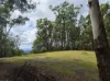 1806 Gold Coast Springbrook Road, Springbrook, Qld 4213-Image