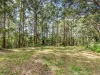 1806 Gold Coast Springbrook Road, Springbrook, Qld 4213-Image