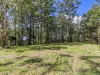 1806 Gold Coast Springbrook Road, Springbrook, Qld 4213-Image