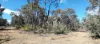 1815 Wedgetail Circle, Parkerville, WA 6081-Image