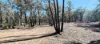 1815 Wedgetail Circle, Parkerville, WA 6081-Image