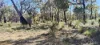 1815 Wedgetail Circle, Parkerville, WA 6081-Image