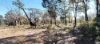 1815 Wedgetail Circle, Parkerville, WA 6081-Image