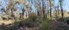 1815 Wedgetail Circle, Parkerville, WA 6081-Image