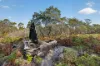 183 Josephs Road, Carlton, Tas 7173-Image