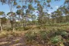 183 Josephs Road, Carlton, Tas 7173-Image