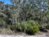 184 Centre Road, Russell Island, Qld 4184-Image