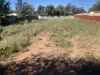 185 Camp Street, Temora, NSW 2666-Image