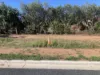 185 Camp Street, Temora, NSW 2666-Image