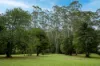 186 Wattle Tree Road., Holgate, NSW 2250-Image