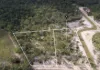 188 Birthamba Road, South Kolan, Qld 4670-Image