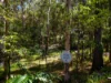 189 Amaroo Drive, Smiths Lake, NSW 2428