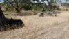 19 & 21 Seaview Road, Kingscote, SA 5223-Image