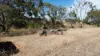 19 & 21 Seaview Road, Kingscote, SA 5223-Image