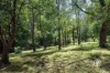 19 Andersons Road, Warburton, Vic 3799-Image