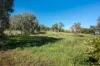 19 Bateman Street, Northampton, WA 6535-Image