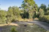 19 Bay Street, Dunalley, Tas 7177-Image