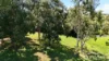 19 Bragg Close, Malanda, Qld 4885-Image