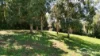 19 Bragg Close, Malanda, Qld 4885-Image